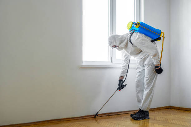 Best Pest Control for Multi-Family Homes  in Bray, OK